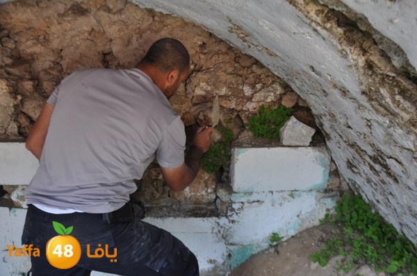 roben awqfaf0412 (37).JPG